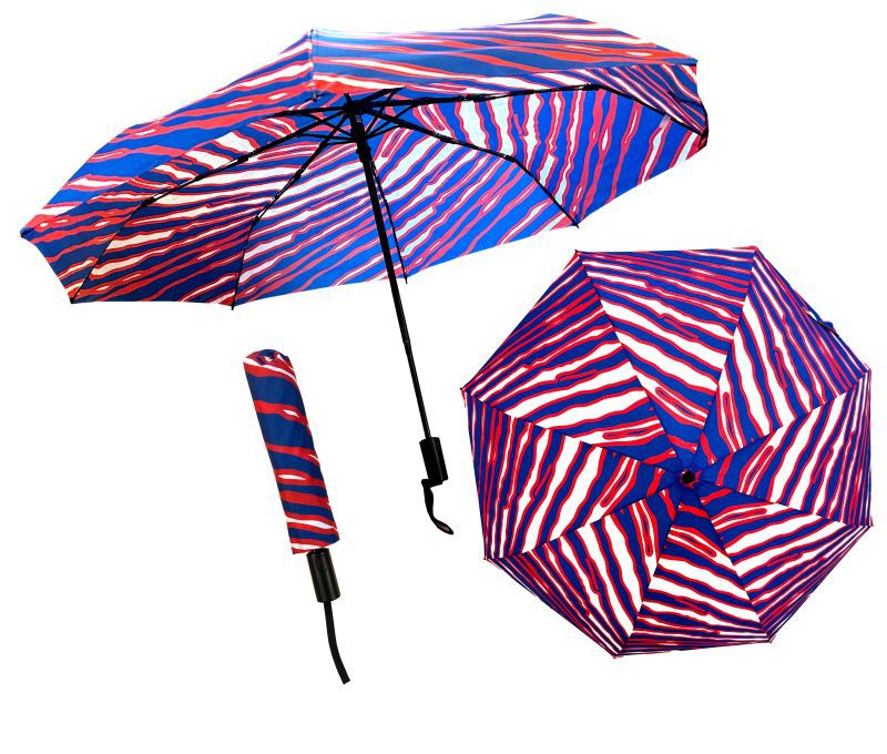 umbrella1a